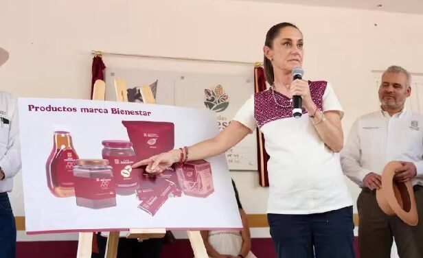 Cuánto cuestan los chocolates Bienestar y dónde obtenerlos