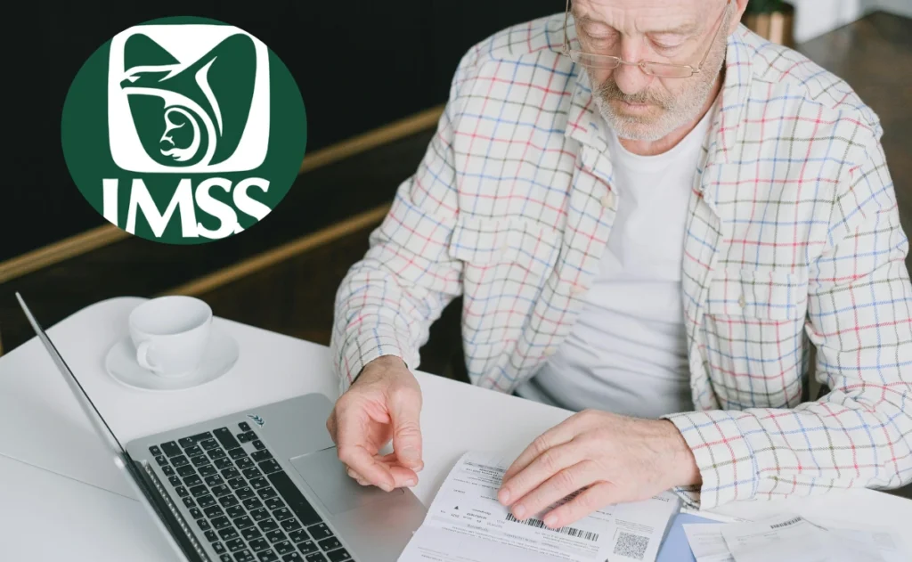 IMSS1 IMSS