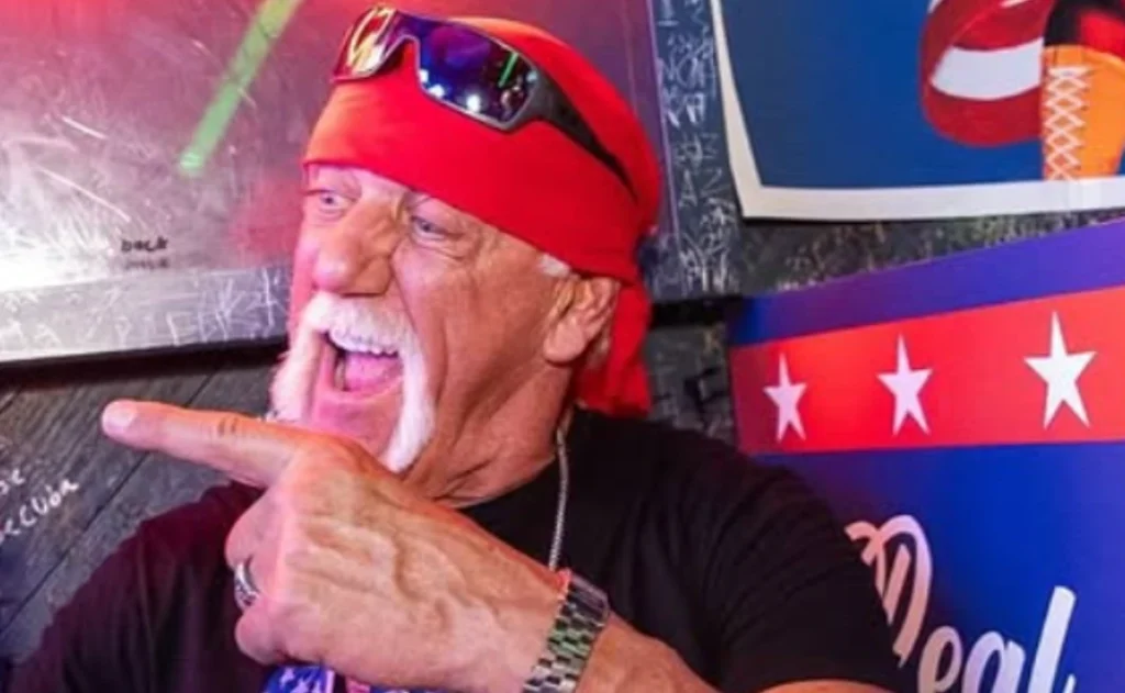 Huk (1) Hulk