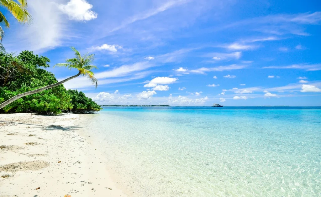 Playas (2) Playa