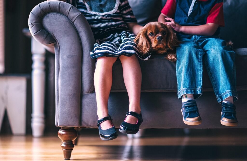 Profeco revela los zapatos escolares más resistentes para regreso a clases