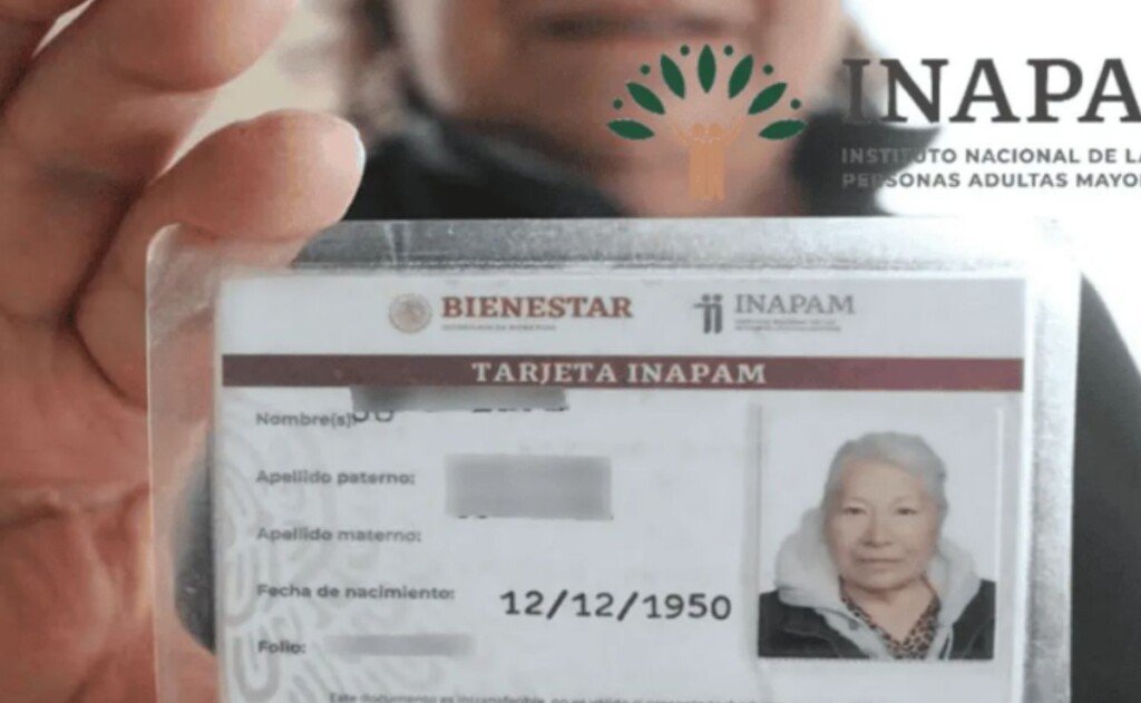 Todos los descuentos que te deben hacer con la tarjeta INAPAM